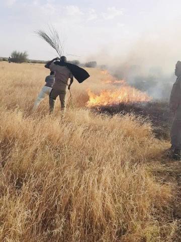 صورة أرشيفية لخدمة المحتوى