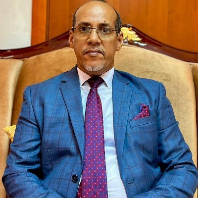  محمد عبد الرحمن المجتبى /رئيس تحرير/ الصدى الورقية والإلكترونية