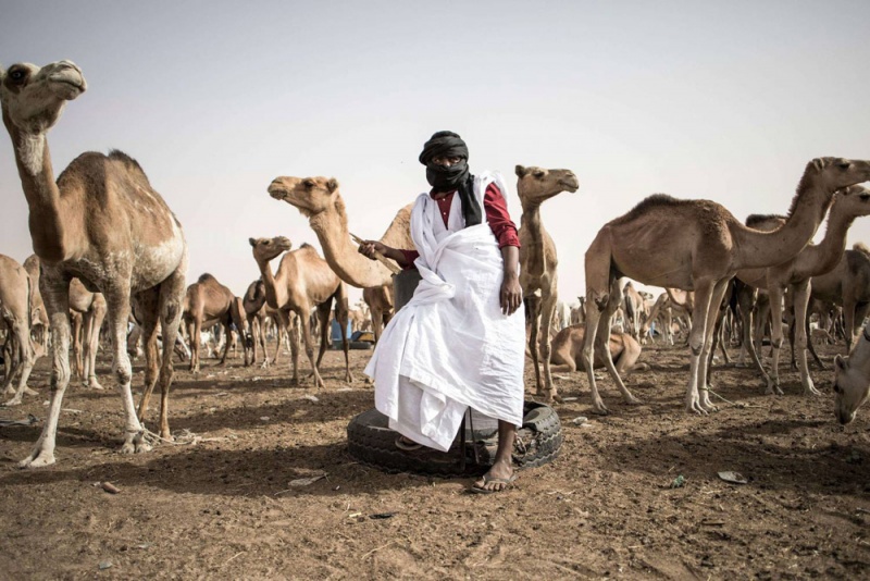 صورة لخدمة النص.. المصدر: انترنت